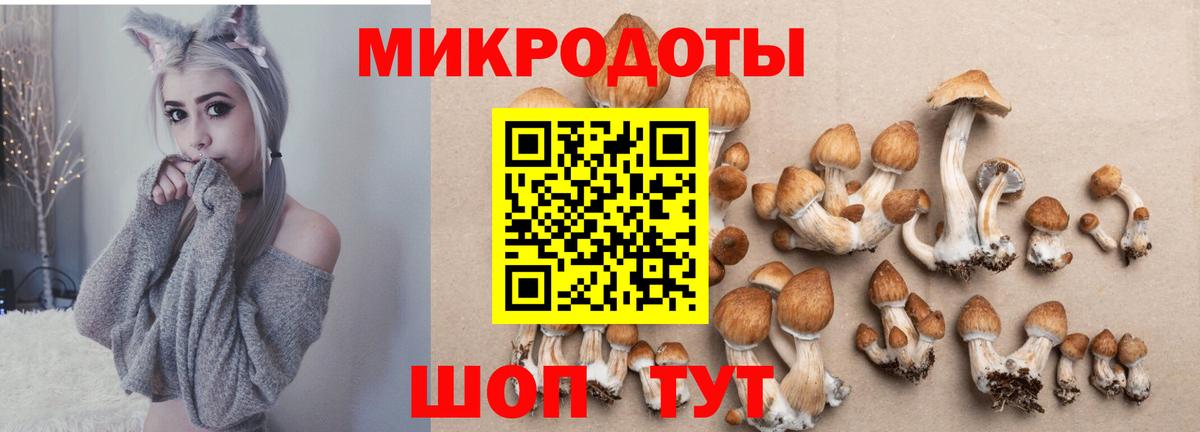 Галлюциногенные грибы Magic Shrooms  Галлюциногенные грибы ЛСД  Вход с VPN  Жигулёвск 